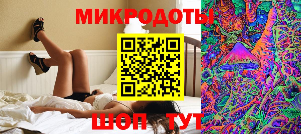 Галлюциногенные грибы Psilocybe Назарово